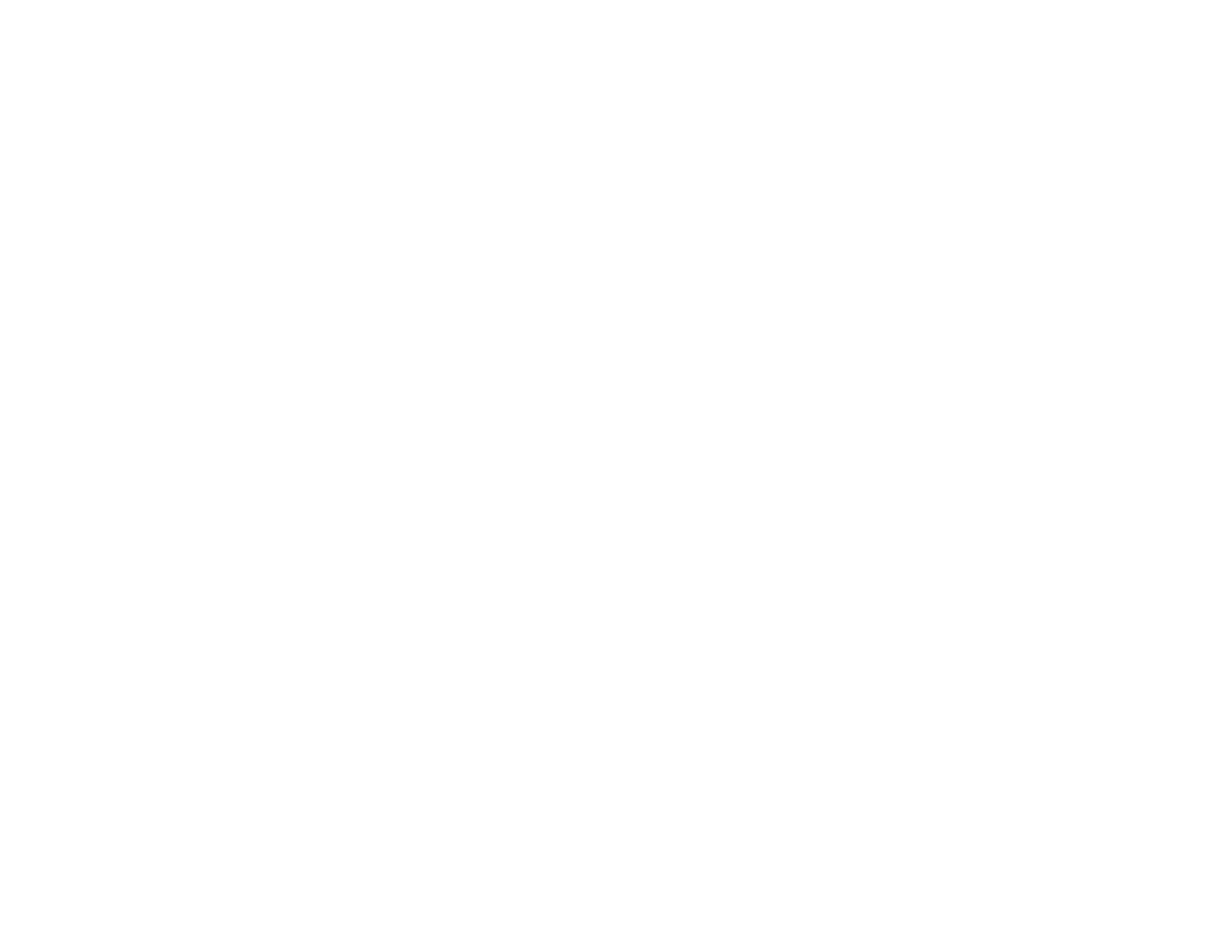 Topturo